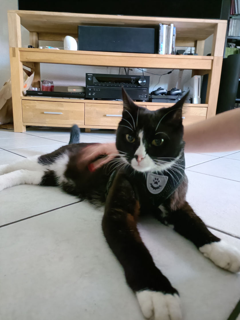 Mobirise Website Builder