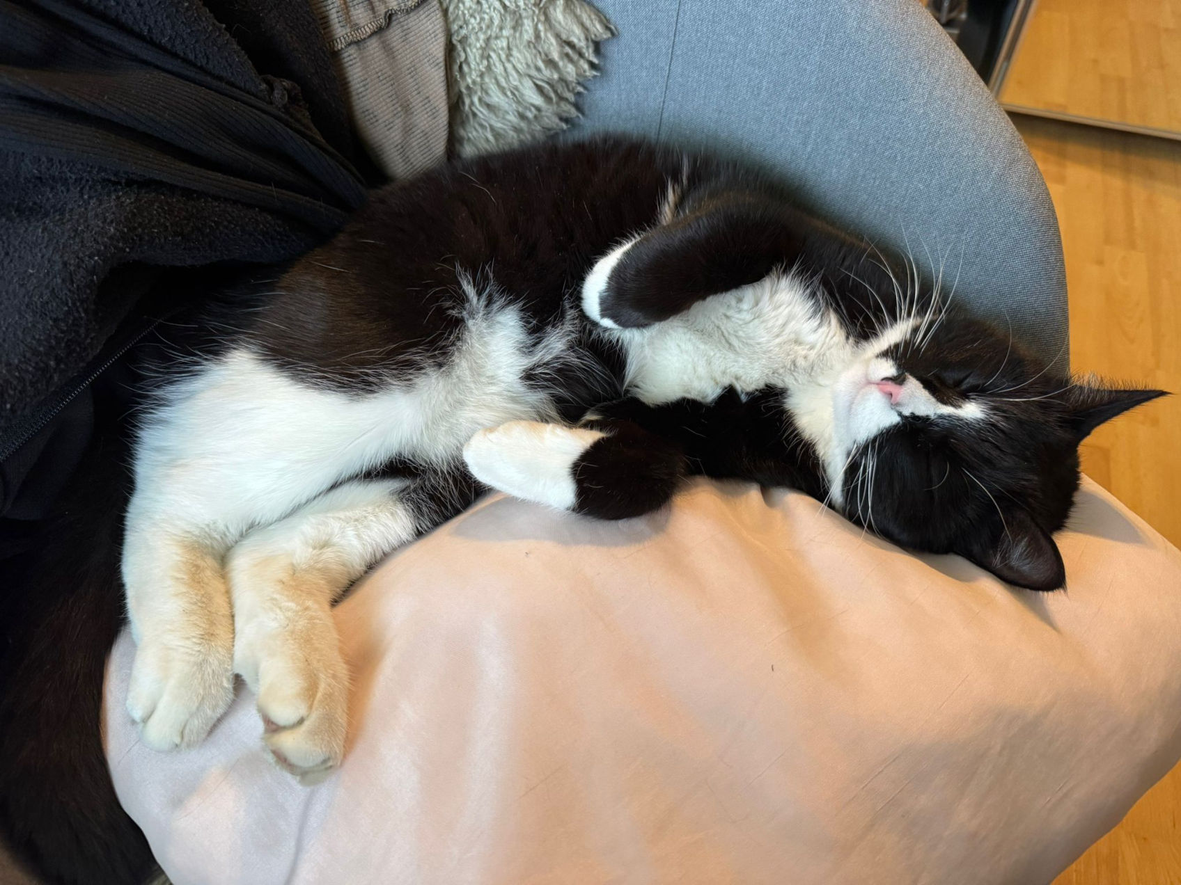 Mobirise Website Builder